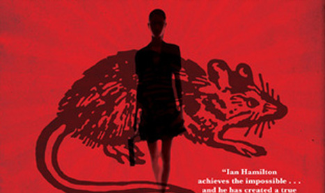 Seria de romane politiste Ava Lee va fi transformata in film