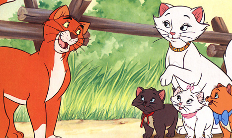 “Pisicile aristocrate” sunt cadoul Antenei 1 pentru copii