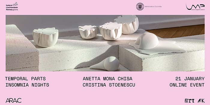 Artista Anetta Mona Chisa discută online despre expoziția „Părți temporale”